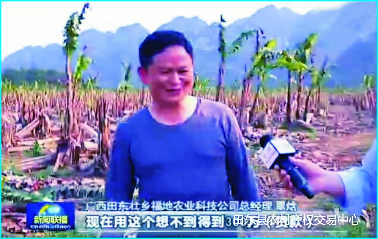 中央电视台采访我县土地流转情况