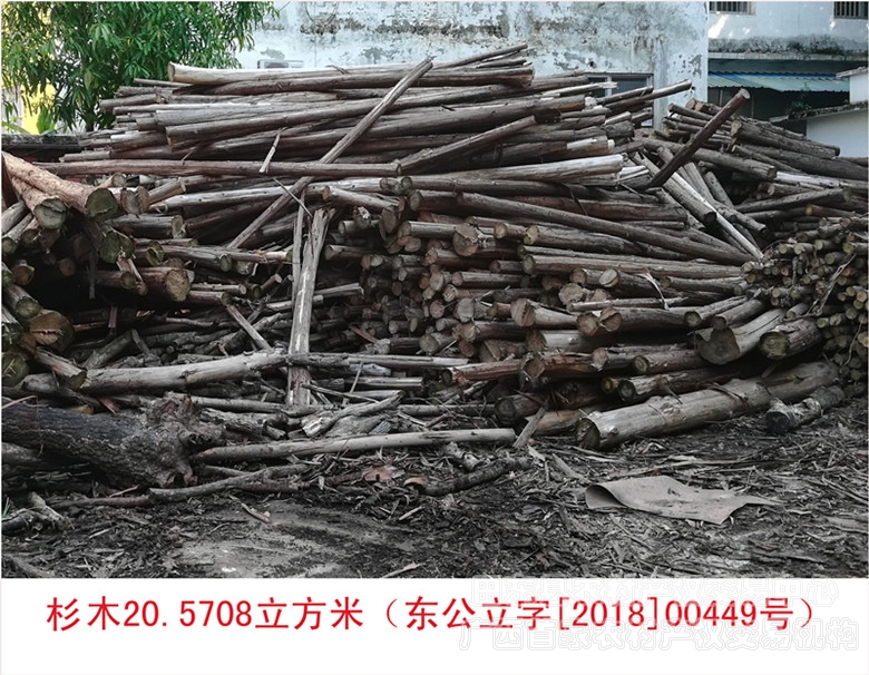 00449_副本.jpg 00449_副本.jpg